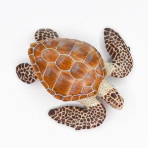 Bedel feestbeest Schildpad