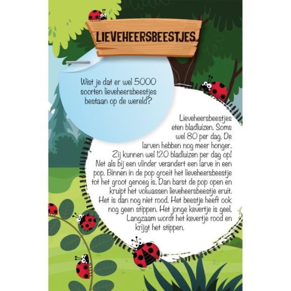 Lantaarn - Op avontuur in de natuur - Afbeelding 4