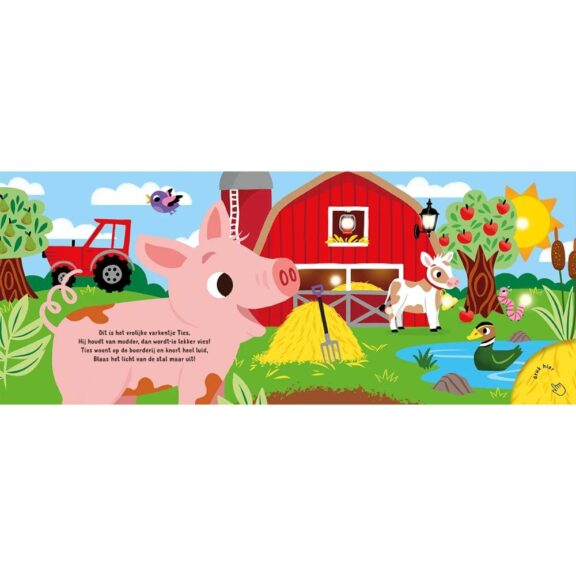 Lantaarn - Slaap lekker kleintje - Op de boerderij
