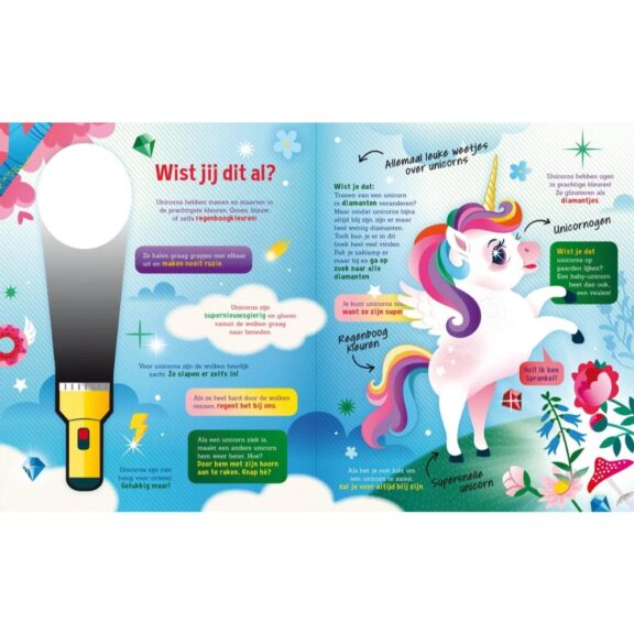 Lantaarn - Speuren naar Unicorns zoekboek