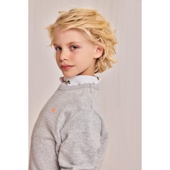 AO76 - Tom sweater logo Heather Grey - Afbeelding 3