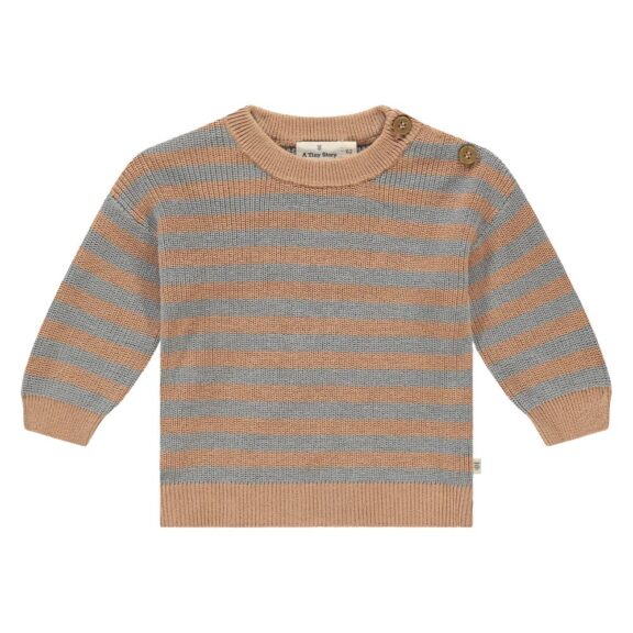 A Tiny Story - Baby pullover Cookie/Steel