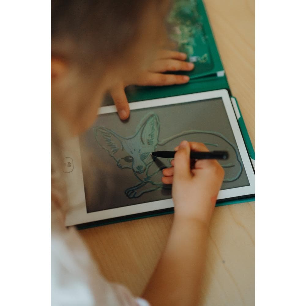 Kidywolf - Kidydraw Animals around the world - Afbeelding 2