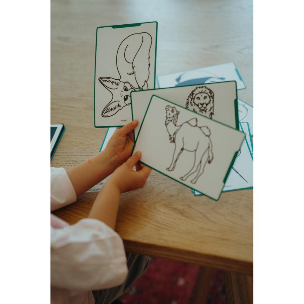 Kidywolf - Kidydraw Animals around the world - Afbeelding 3