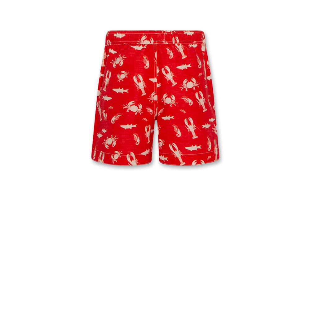 AO76 - Toni Swimshorts Sea Life - Afbeelding 2