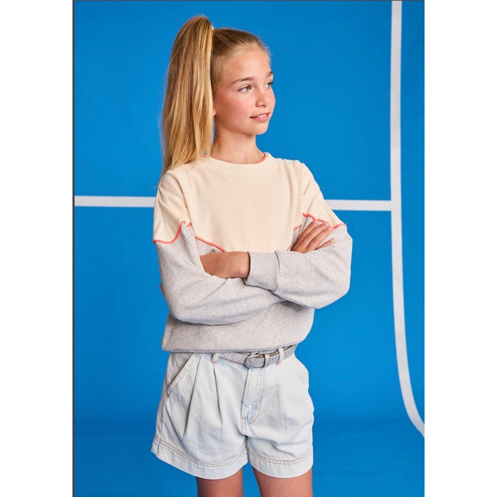 AO76 - Small Belt Silver - Afbeelding 2