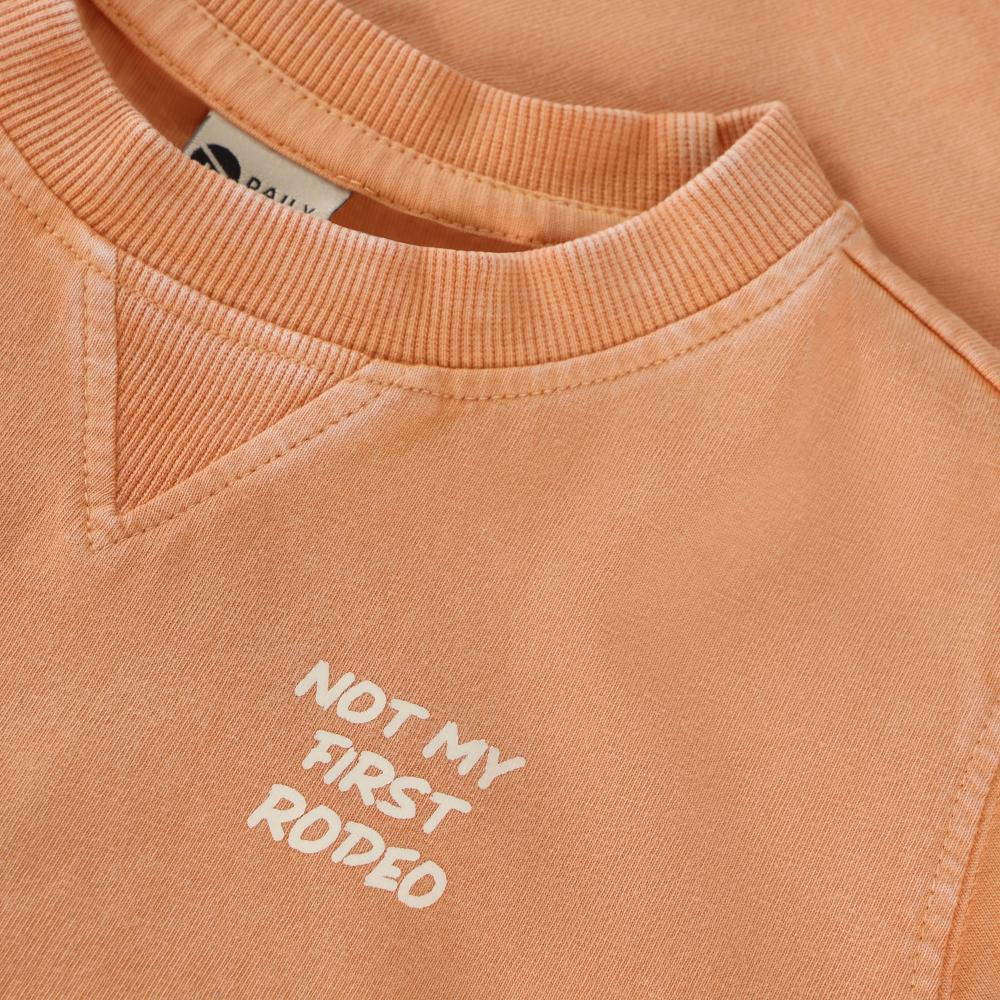 Daily7 - T-shirt Backprint Sandstone - Afbeelding 3