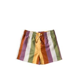 Salted Stories - Multi Stripe | Swim Shorts
