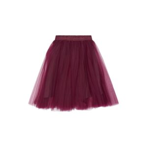 The New - Mesh Skirt Peaven