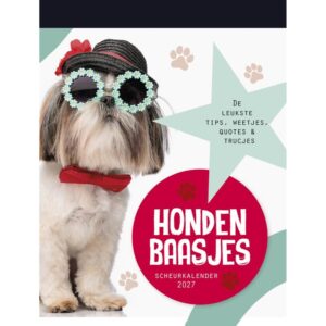 Lantaarn - Scheurkalender 2027 Hondenbaasjes